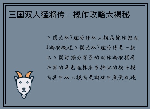 三国双人猛将传：操作攻略大揭秘