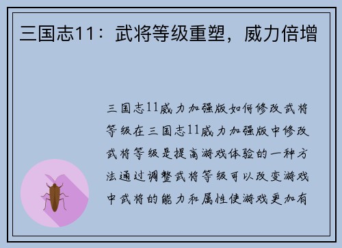 三国志11：武将等级重塑，威力倍增